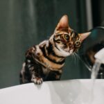 BLOG 1.12