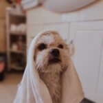 BLOG 2.22