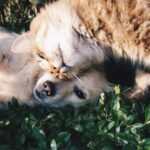 BLOG3.3